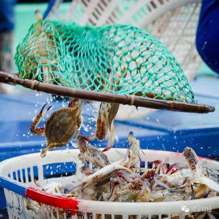 叮咚买菜前置仓新人考核题目,每日优鲜前置仓运作模式分析