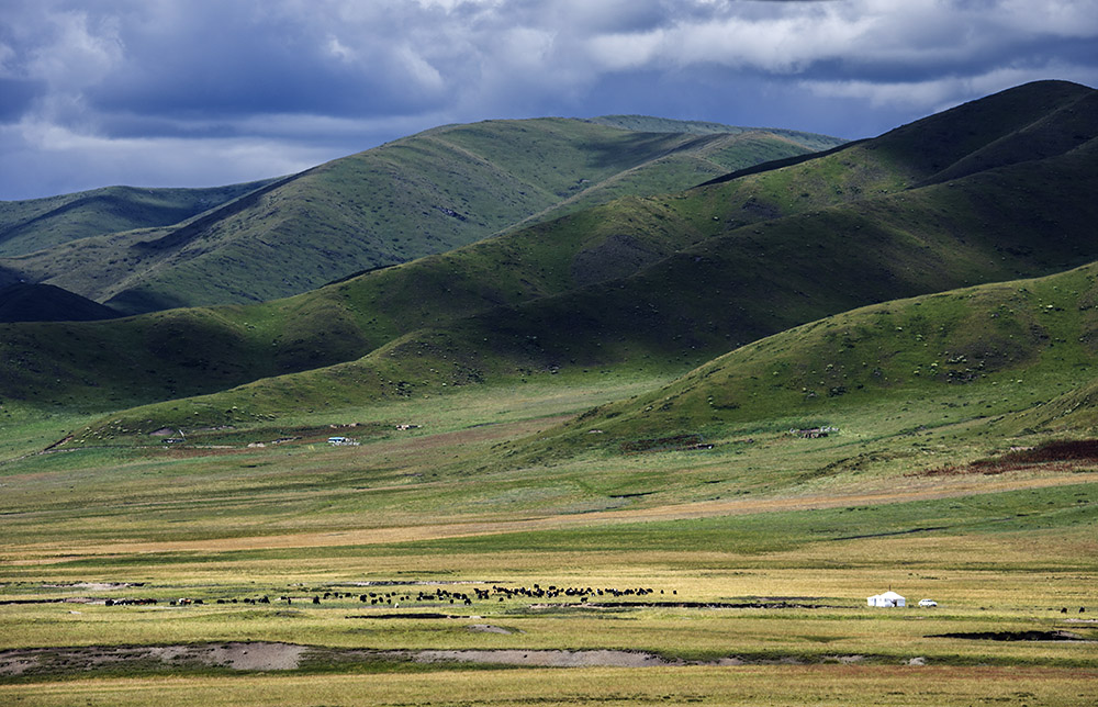西部大草原旅游攻略,四川红原大草原自驾旅游攻略