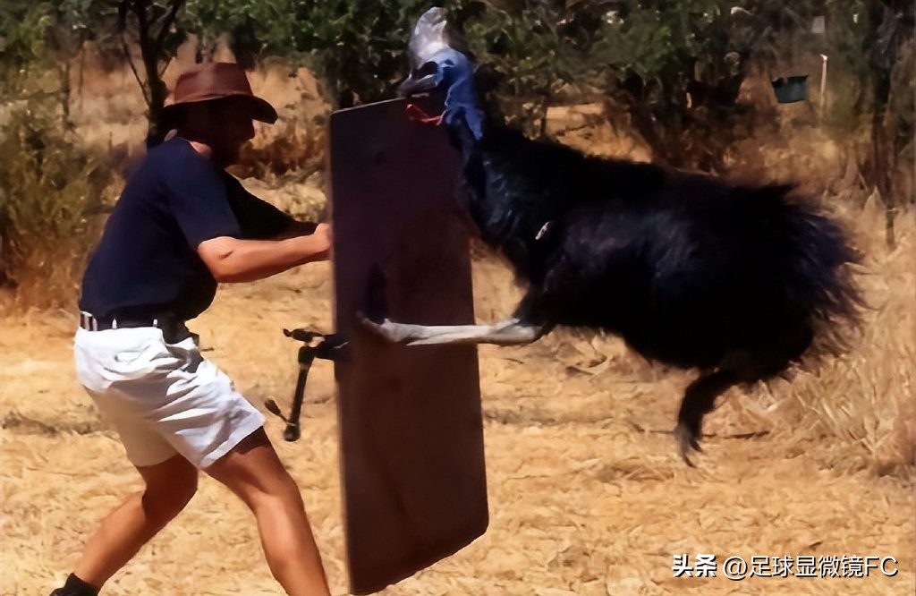 吴兴涵事件是啥,吴兴涵道歉视频