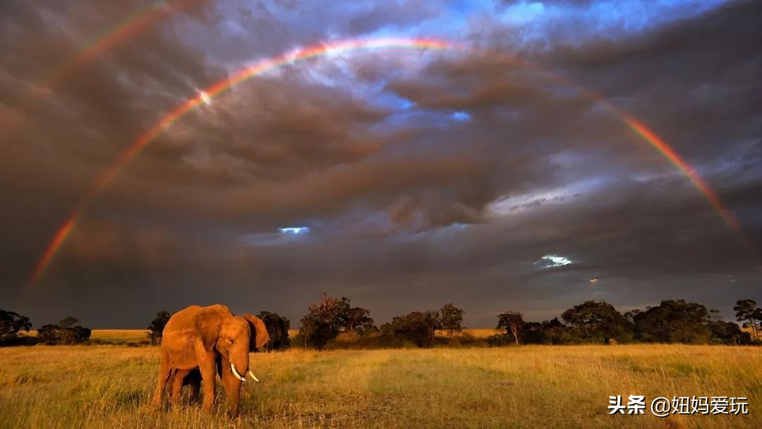 带你真切看人间的宝藏纪录片top10,十一长假适合带孩子看的纪录片