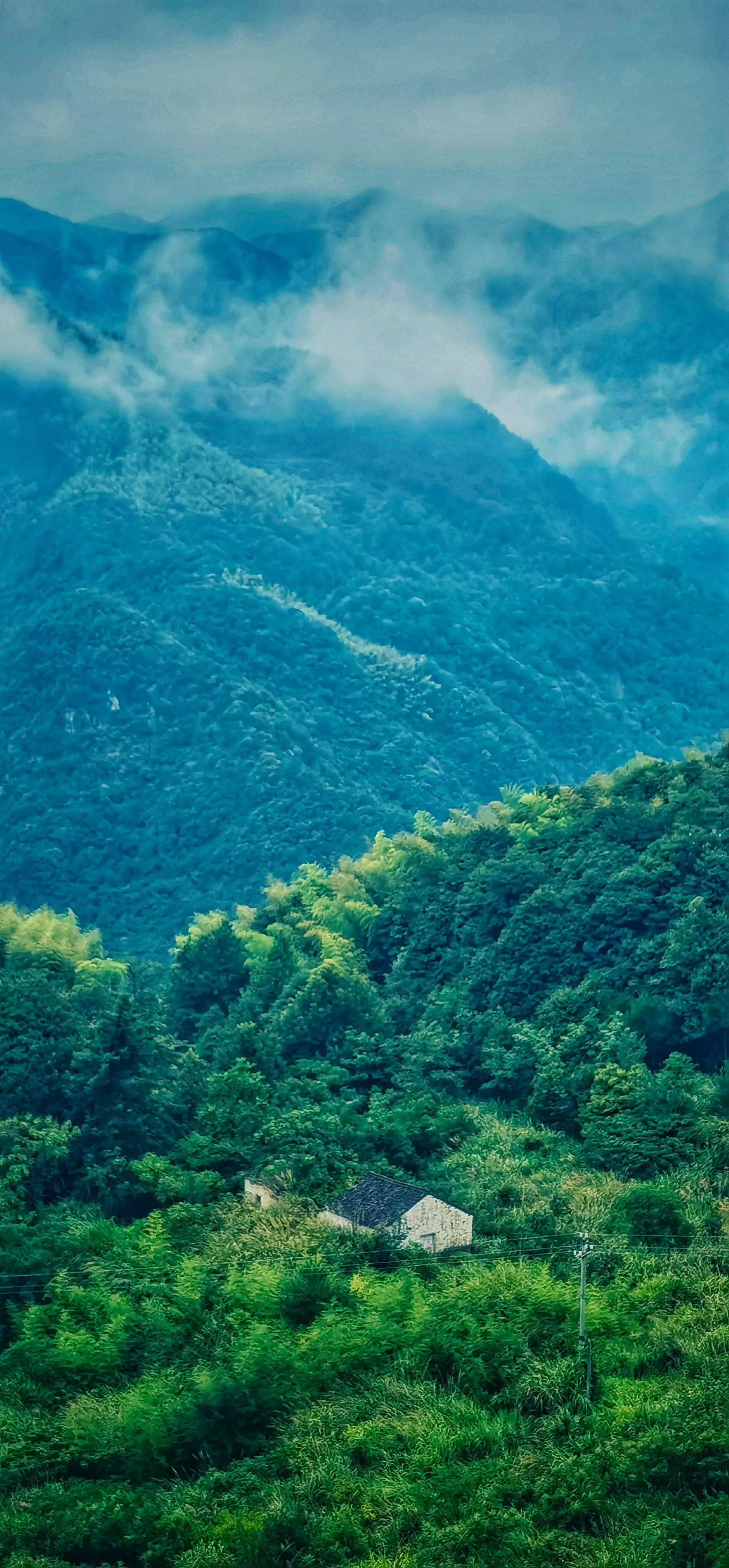 韦应物十大绝句,韦应物最著名的千古名句