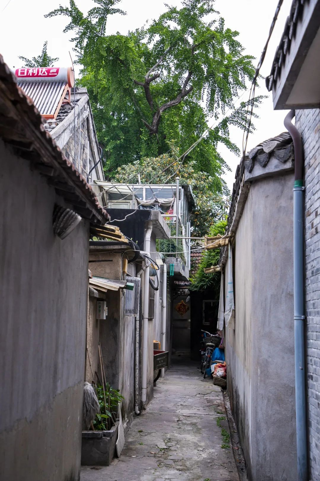 一条街里的卧虎藏龙,东关街里的小巷子别有一番风味