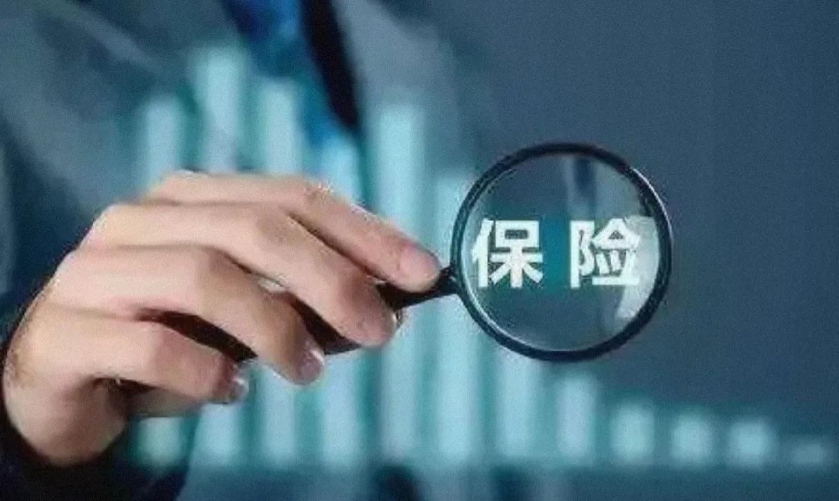 女高管被抓事件,美女高管携款五亿潜逃