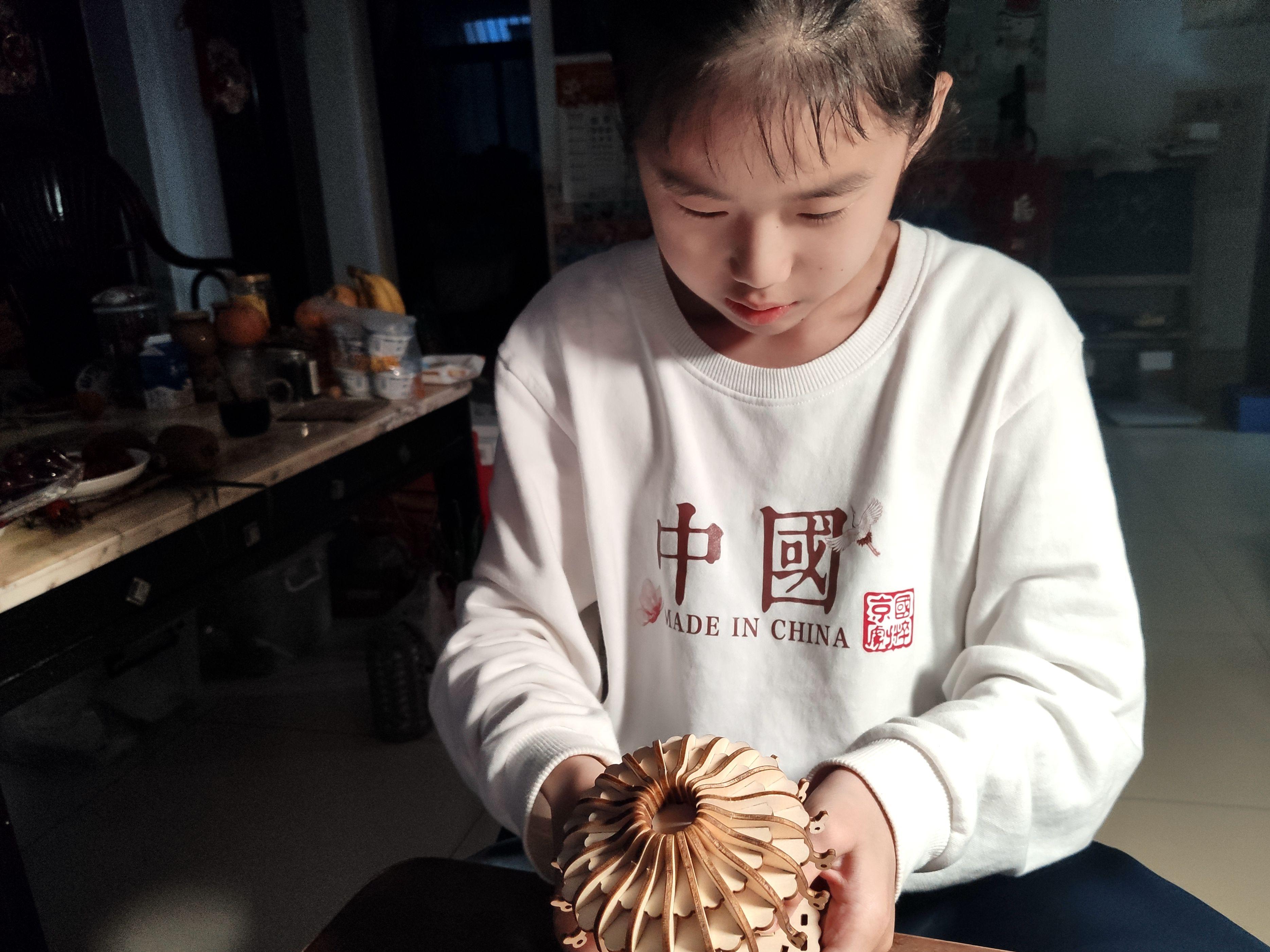 旋转木马八音盒简单,手工旋转木马八音盒