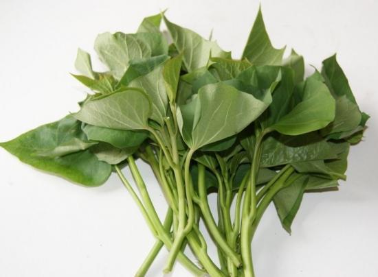 老年人常吃什么食物防止骨质疏松,老人骨质疏松多吃什么菜好