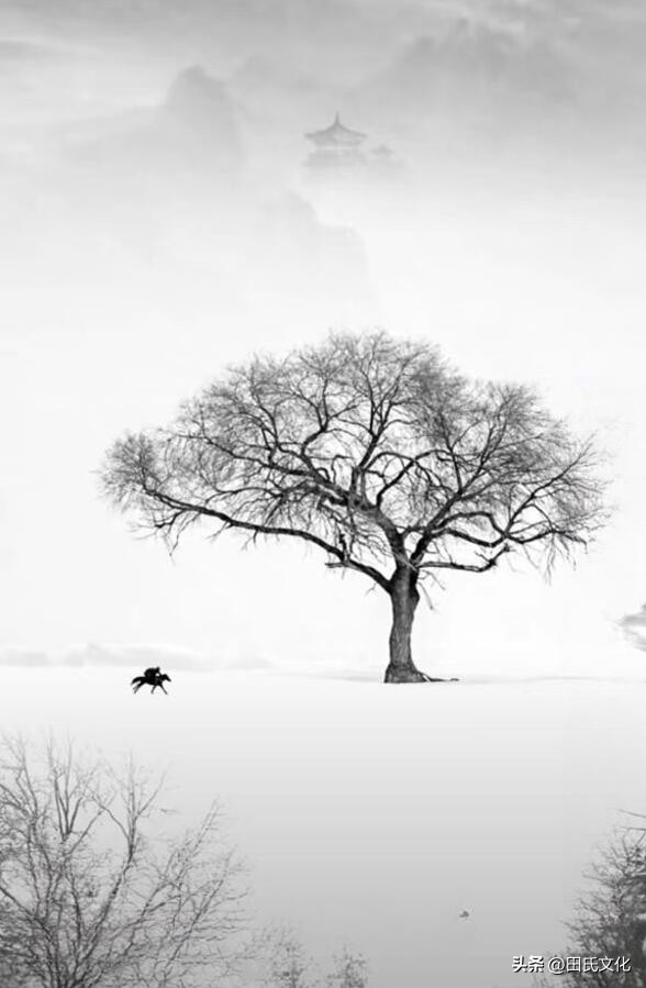 田氏文化,田氏宗亲文化传播