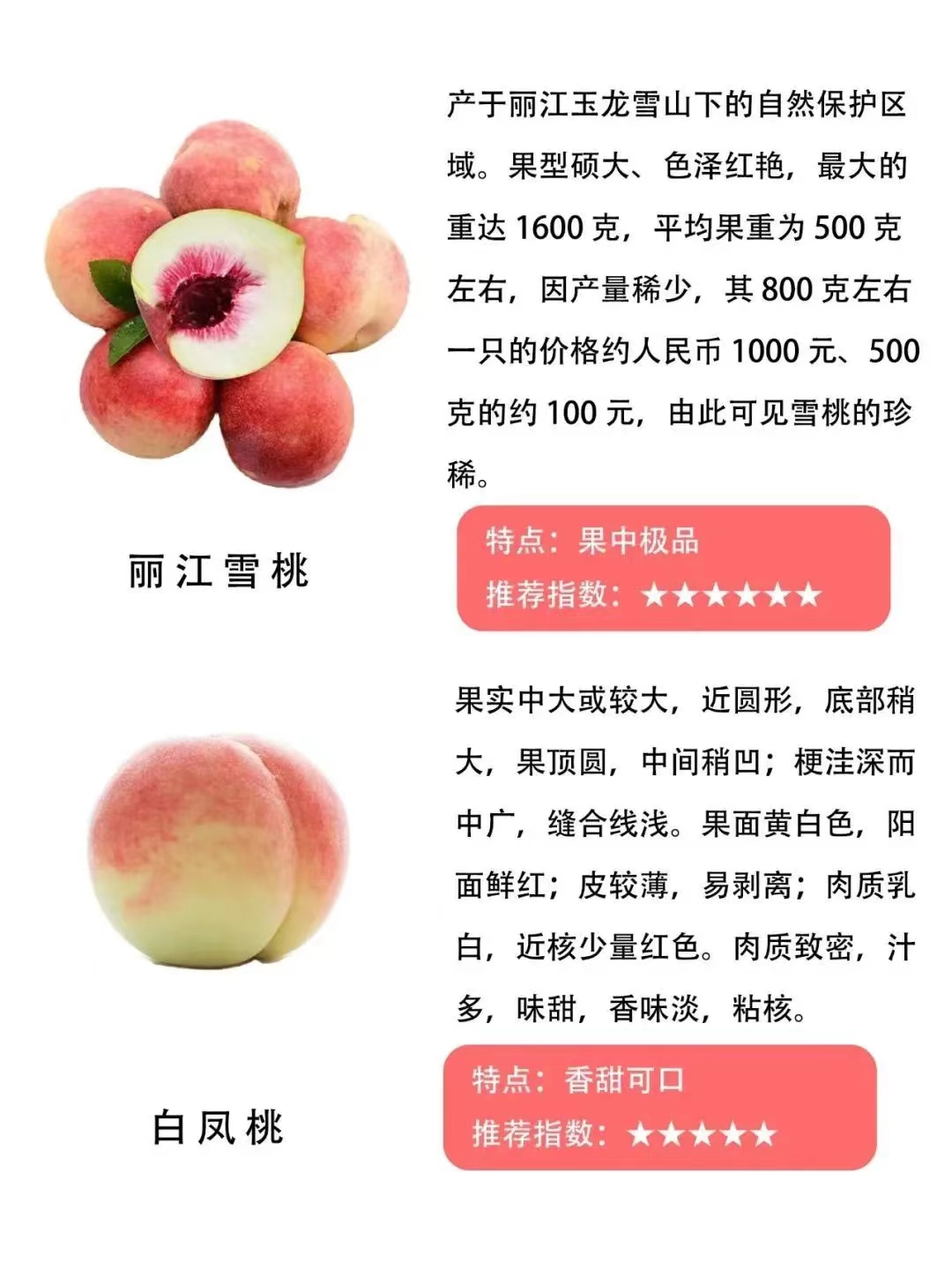 遵义桃子的品种和特点,常见的桃的品种区别有哪些