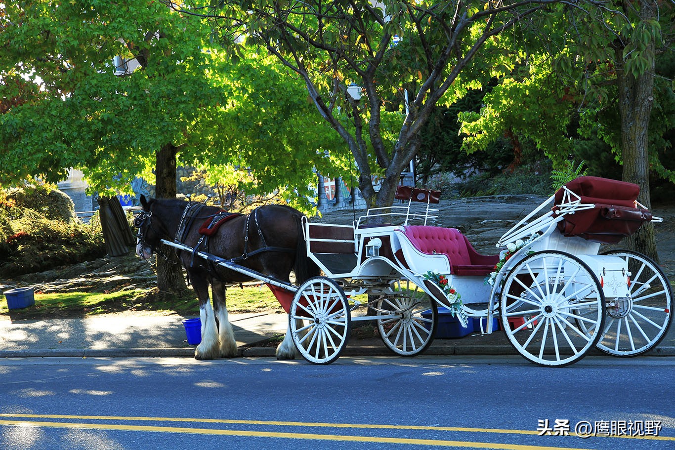 加拿大的维多利亚,加拿大四季如春的城市维多利亚