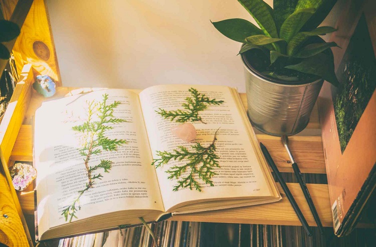 函授网络教育自考成人教育的区别,函授和网络教育本科学历哪个好