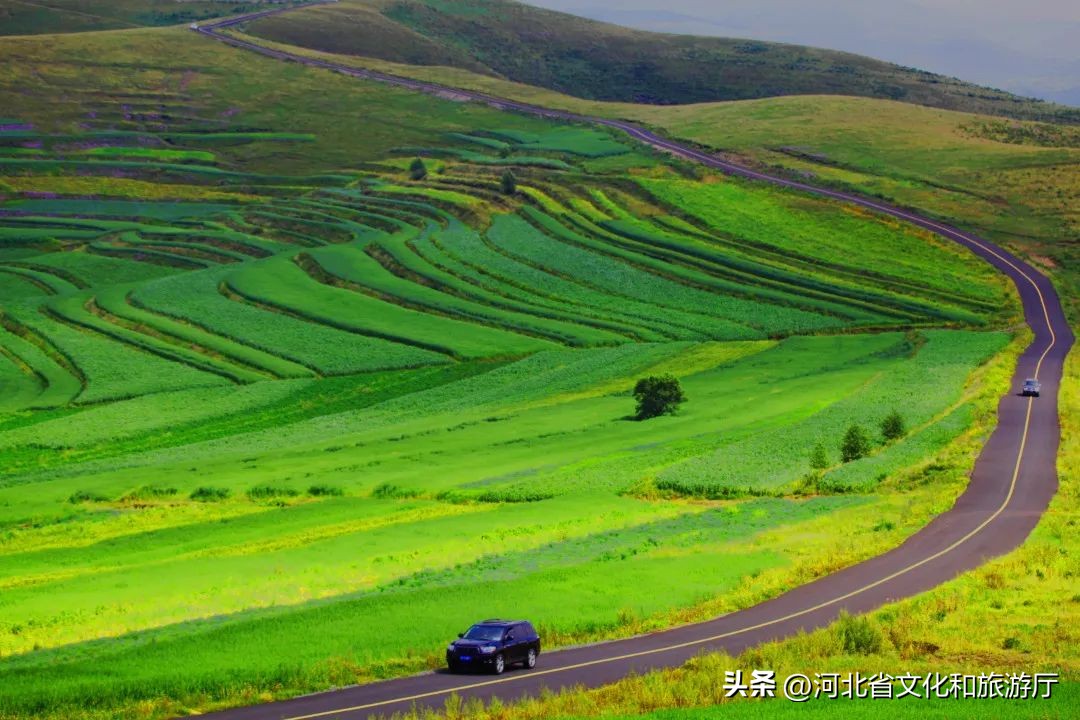 向河北,向着坝上草原出发