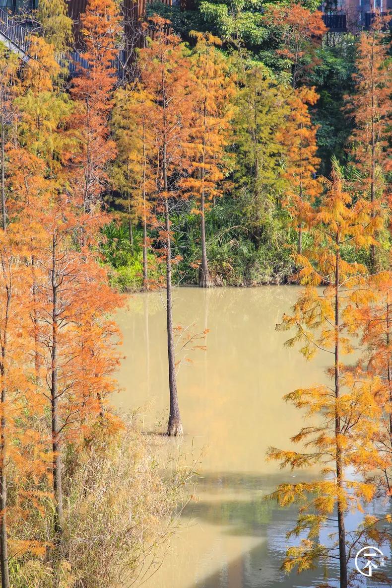 深圳4个绝美海岛,深圳值得游玩的小岛