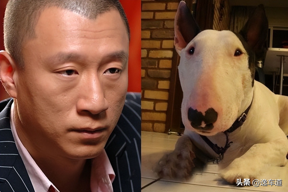 英菲尼迪qx80新款2022与途乐哪个大,2020英菲尼迪qx80vs2020途乐