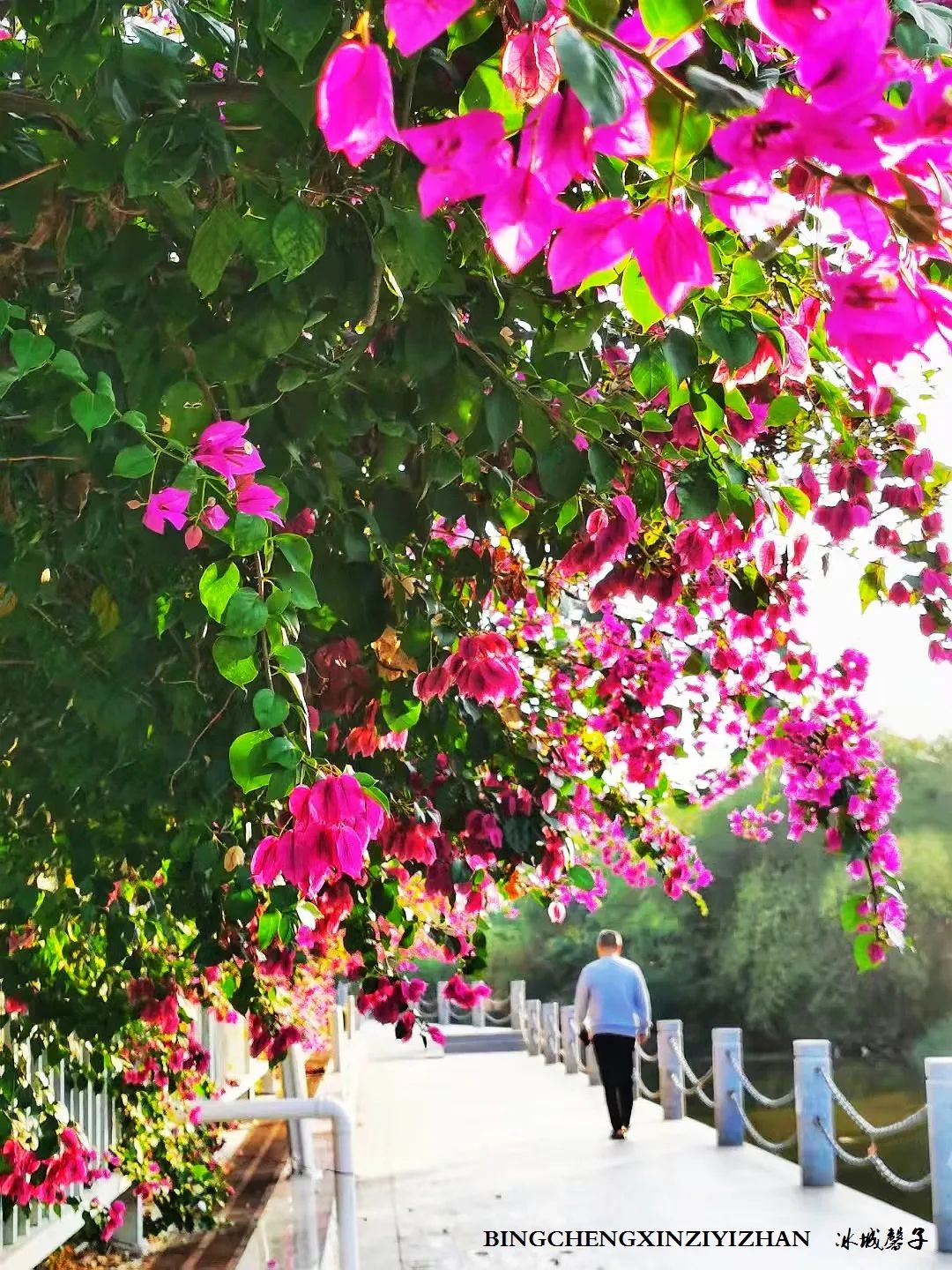 旅居海南：九所新区的浪漫情