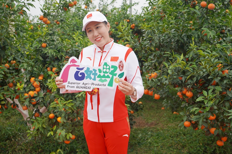 乡村振兴武鸣沃柑,第一书记带动了武鸣沃柑