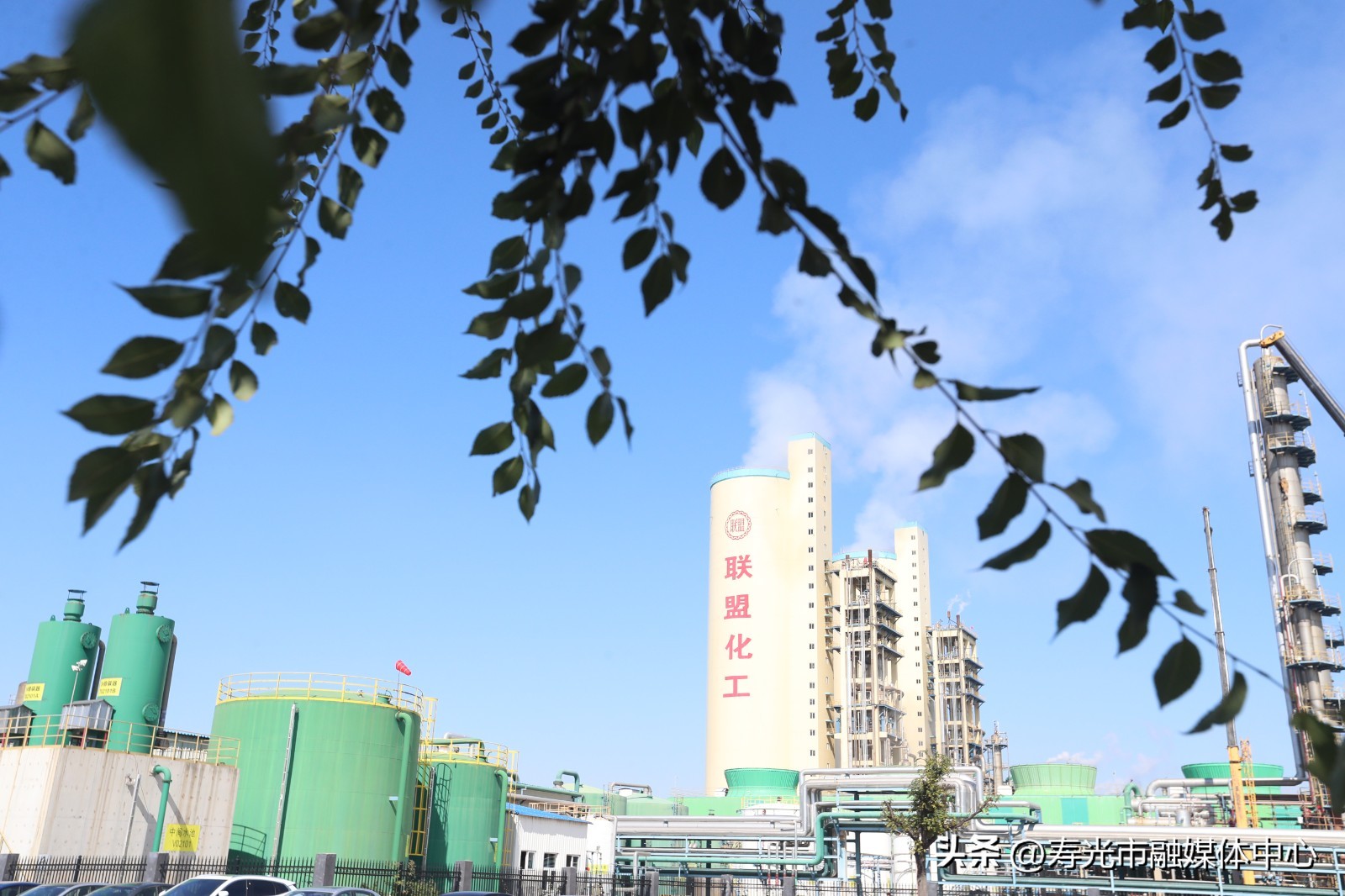 喜讯联盟,黄冈晨鸣集团最新消息