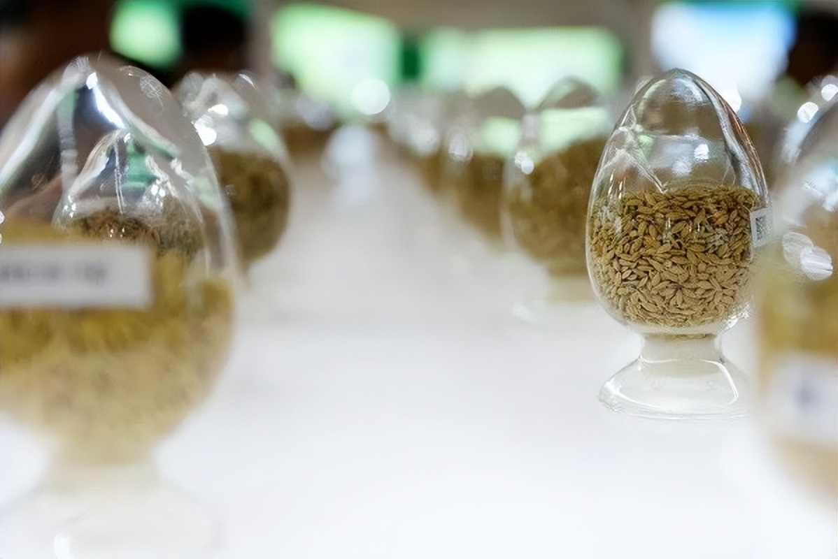 种子基因库,种质库是保护基因多样性的吗