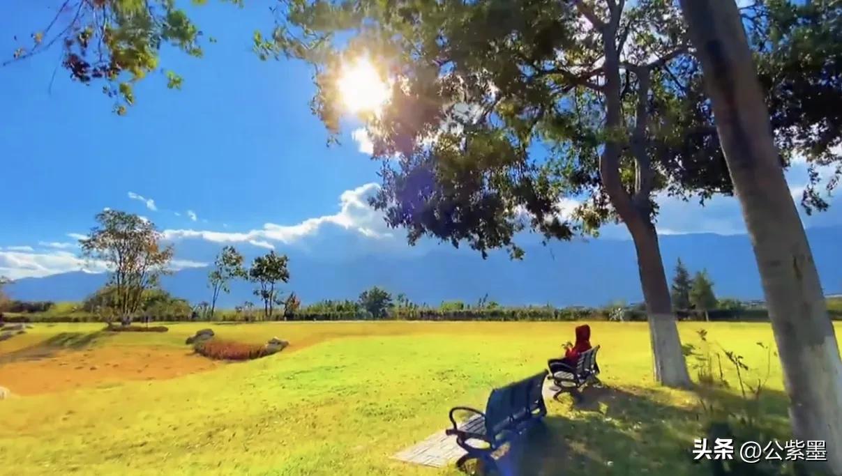 大理的冬天,大理的冬天依然美丽