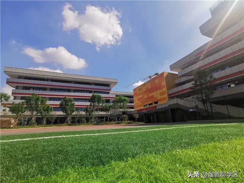 石室教育集团,成都石室中学教育集团学校