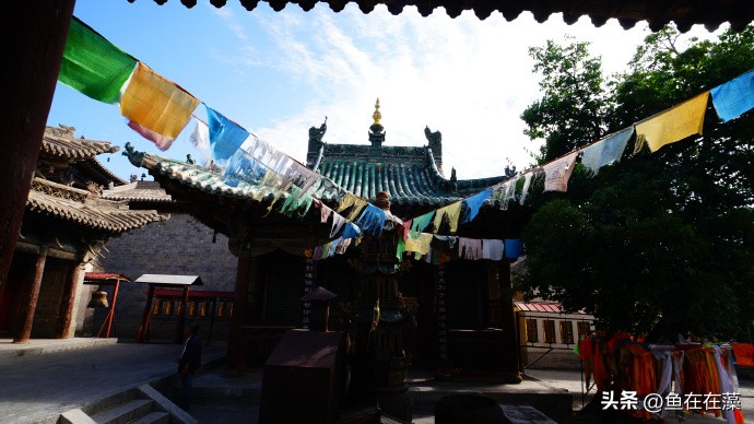 82战疫·甘：妙因寺、雷坛——永登连城镇