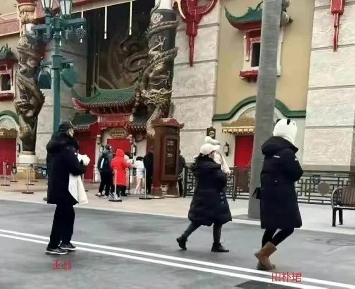 王石和田朴珺多久结婚的,王石和田朴珺离婚