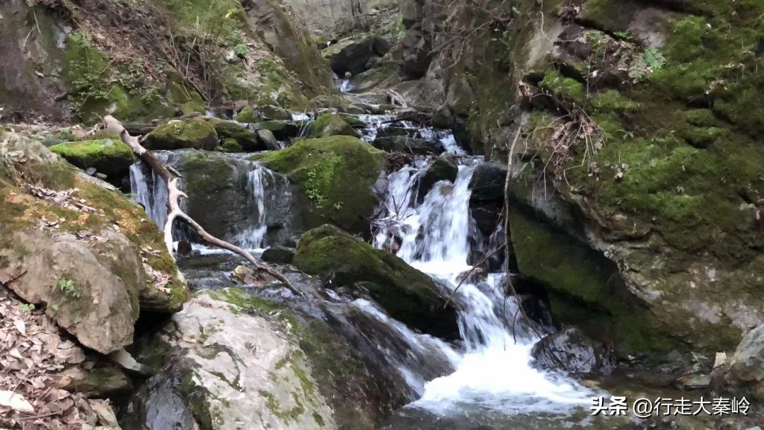 首阳山穿越大坪梁景色怎么样,大坪梁穿越到首阳山攻略