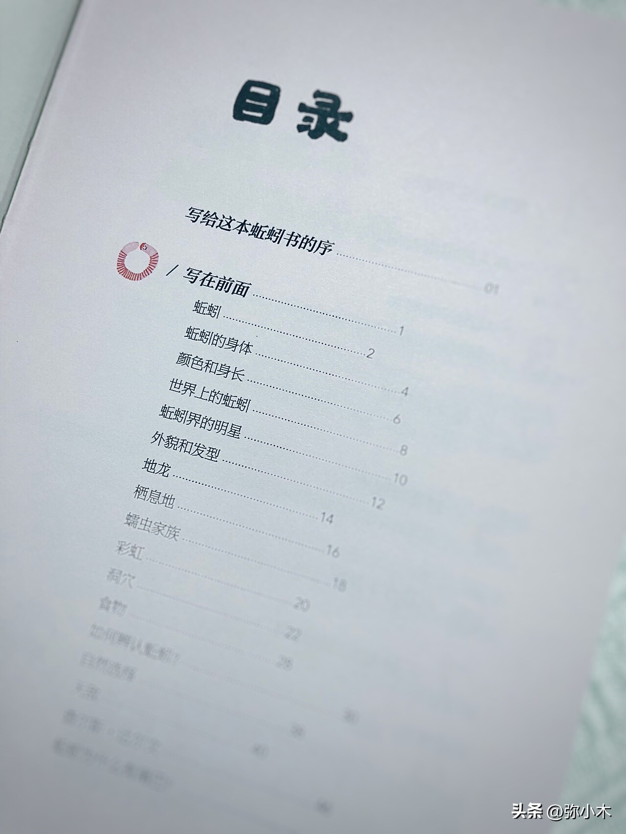 小朋友对蚯蚓的了解,蚯蚓带给孩子的乐趣