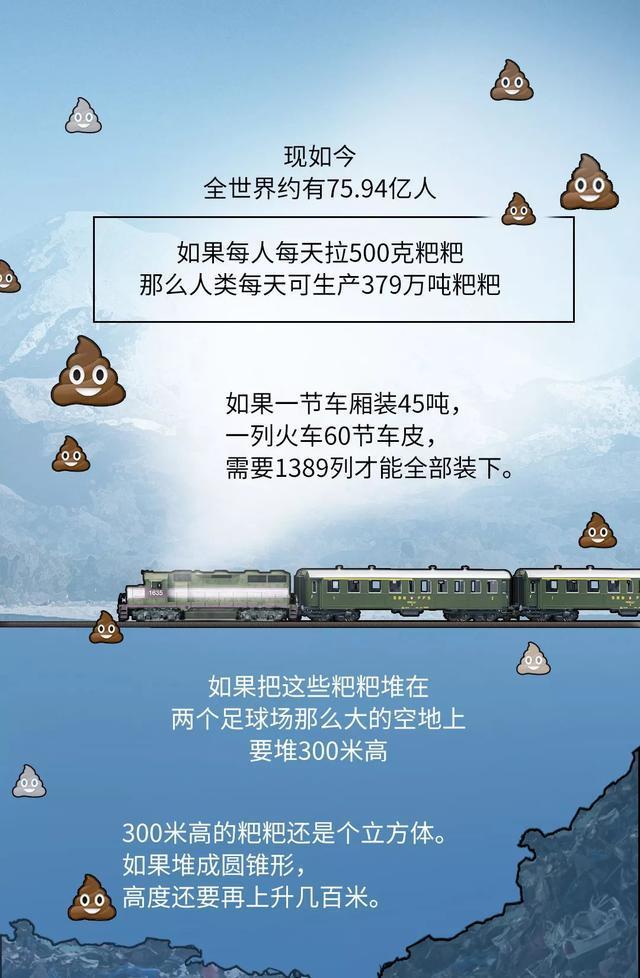 每天的屎尿垃圾都去哪了,我们每天上厕所的粪便都去了哪里