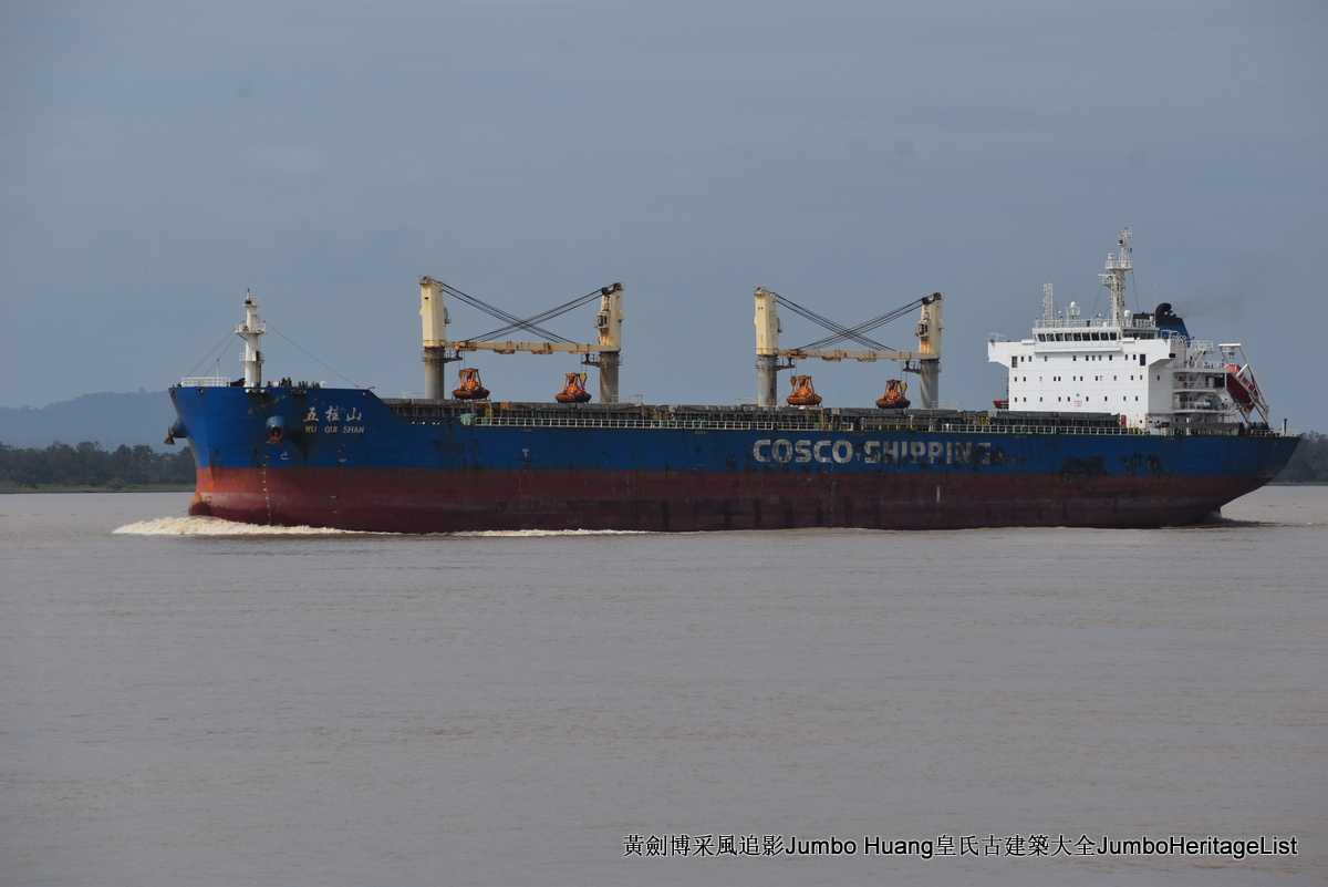 第5047回：消失的亚马逊文明，流失的林下聚居地