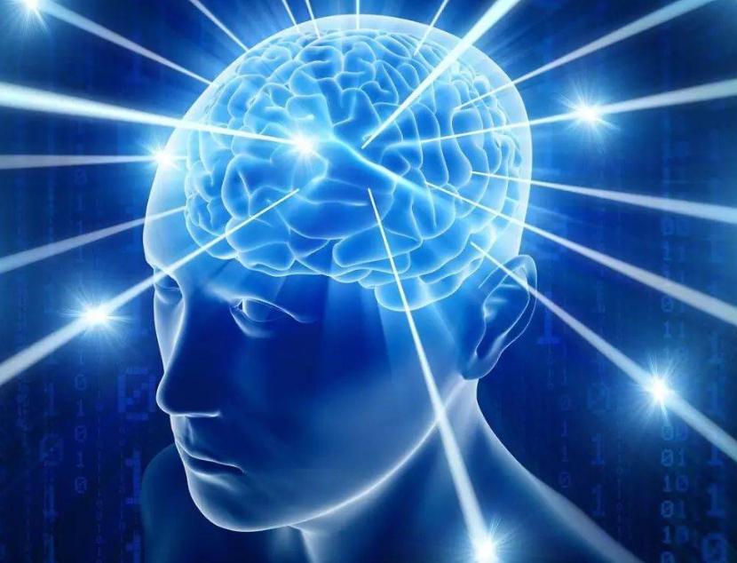 基于“肾虚、湿浊”理论，来探讨多系统萎缩的病机特点及治法