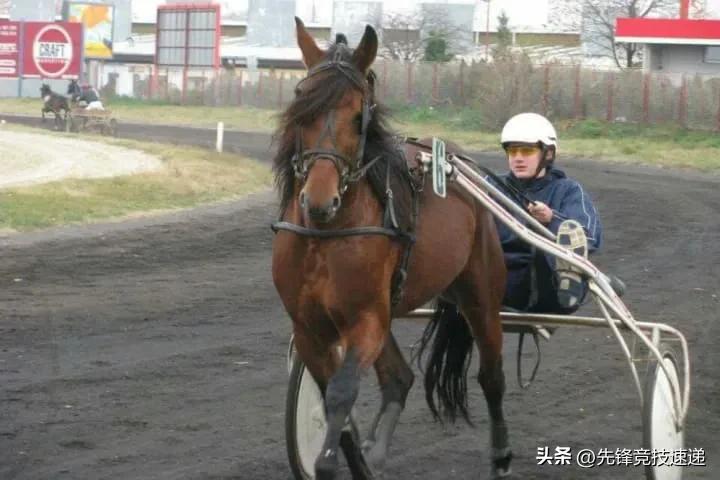 nba第一人约基奇,篮球第一中锋约基奇