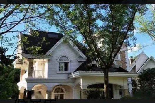 “伟哥”部长花两万买校花*夜初**，*养包**条件刁，看校花如何面对绝境