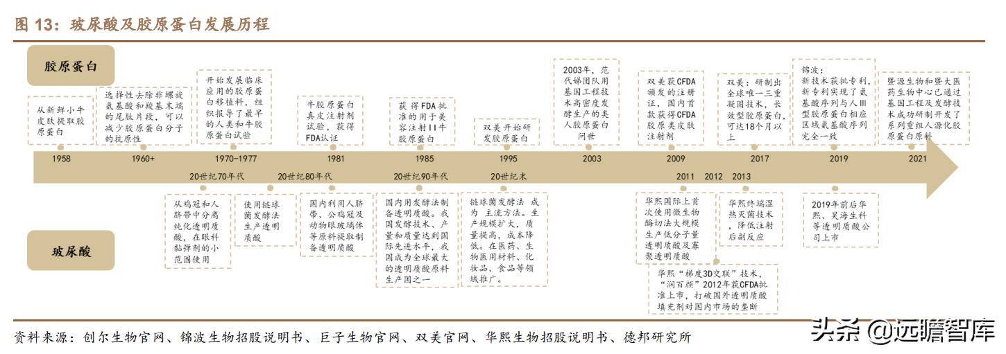 胶原巨子生物,巨子生物胶原蛋白更小分子量