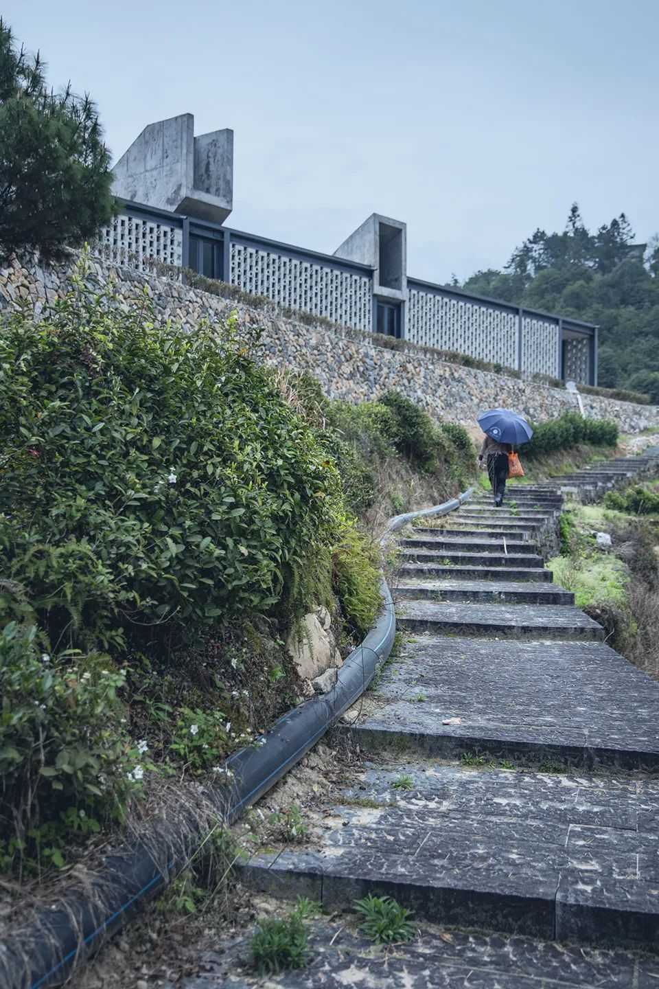 中国茶申遗成功吗,中国茶申遗成功44项名单