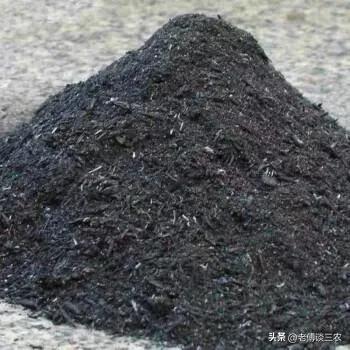 农村老人做饭烧火,农村老头一年做饭卖几百万