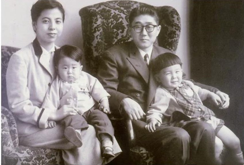 安倍洋子和佐藤荣作,安倍洋子做过什么