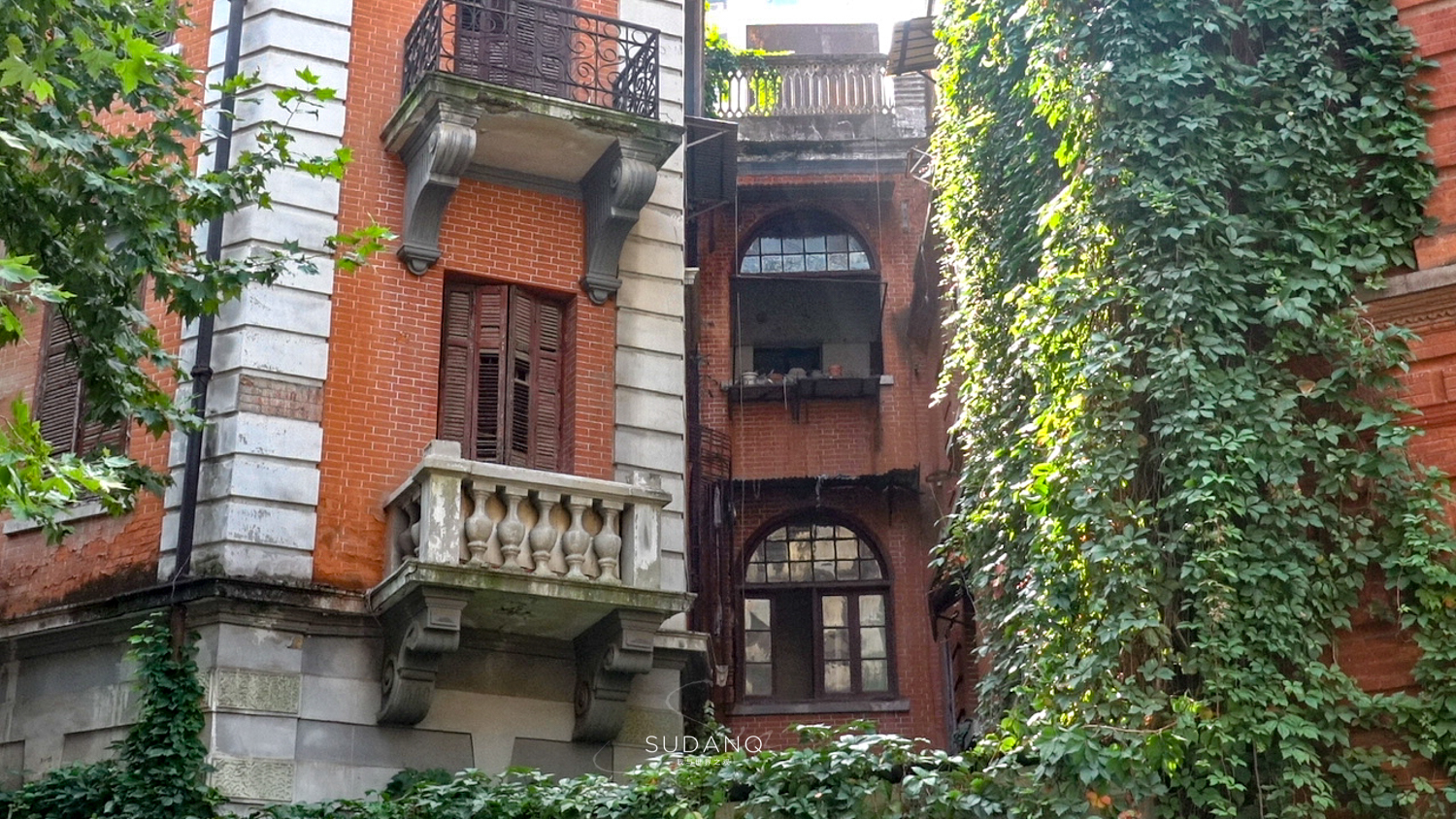 国外俩兄弟买了一栋别墅,武汉100年老房子带院子出售