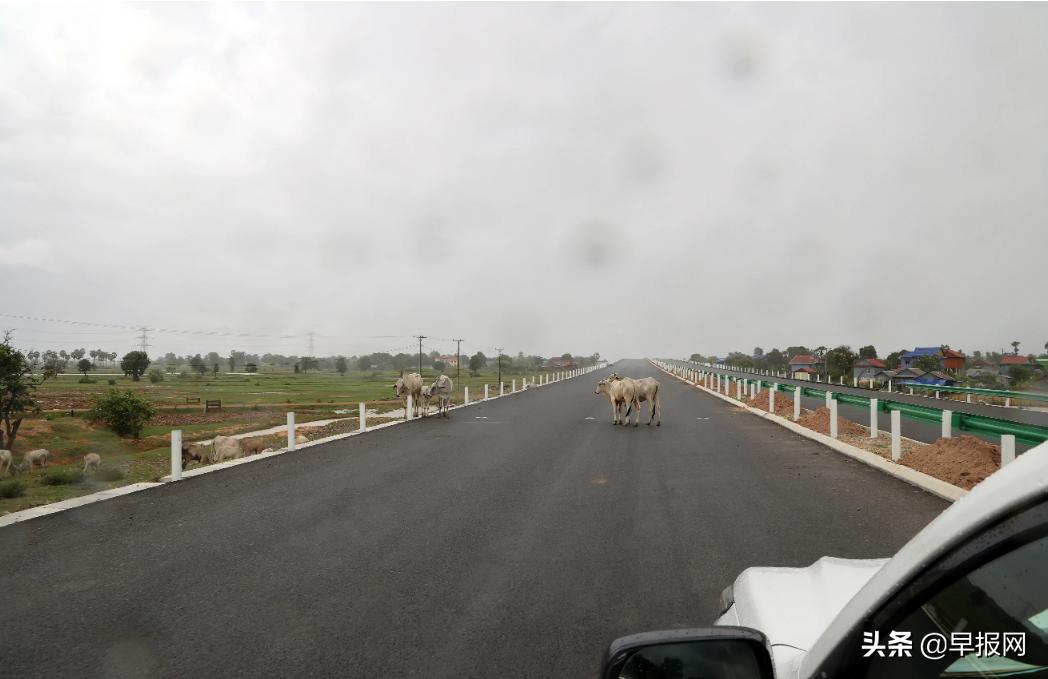 柬埔寨西港现在情况,中资撤离
