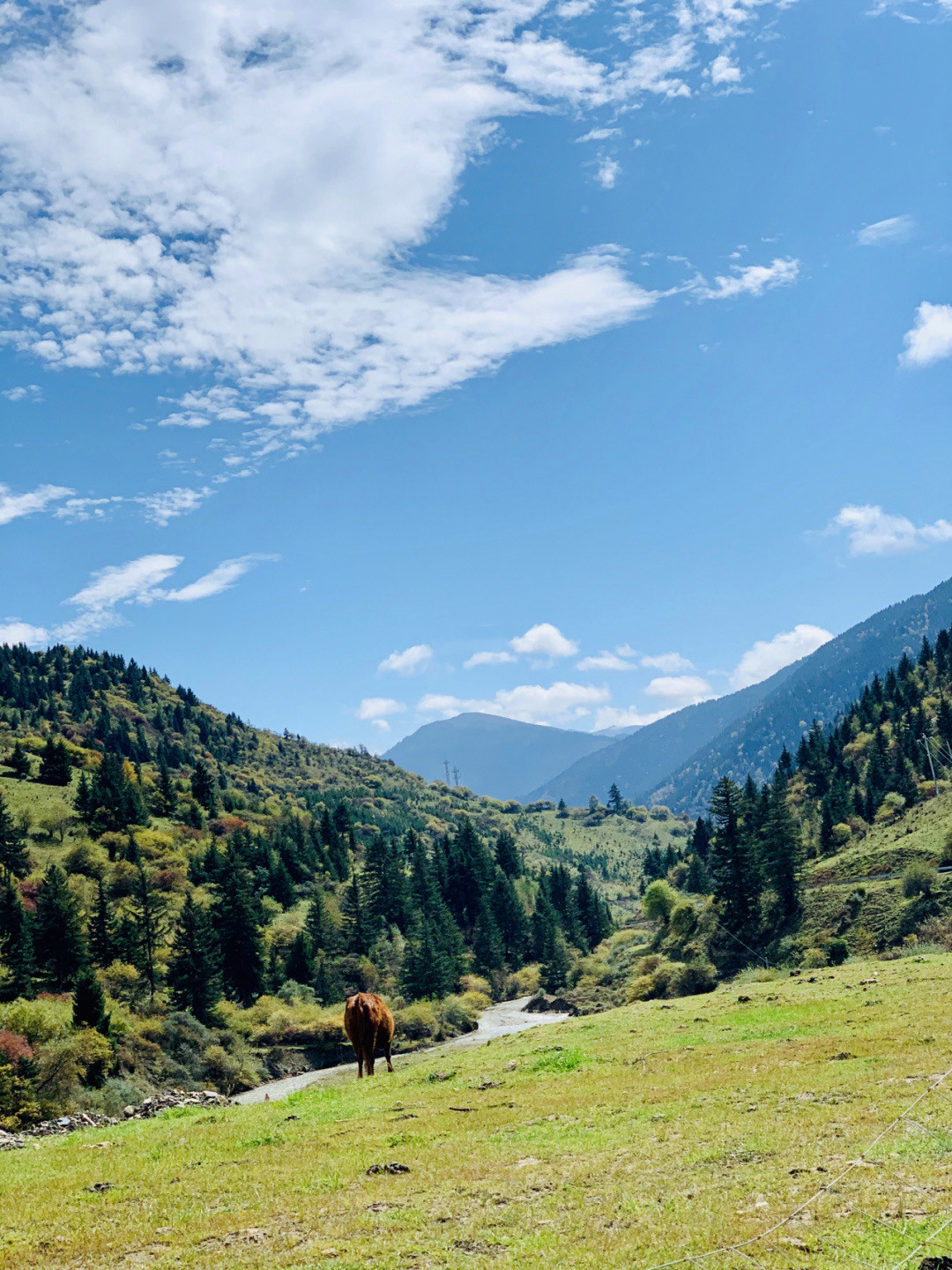 一天来回！别名“小九寨”的油画秋色、高山草甸，一站式游玩到底