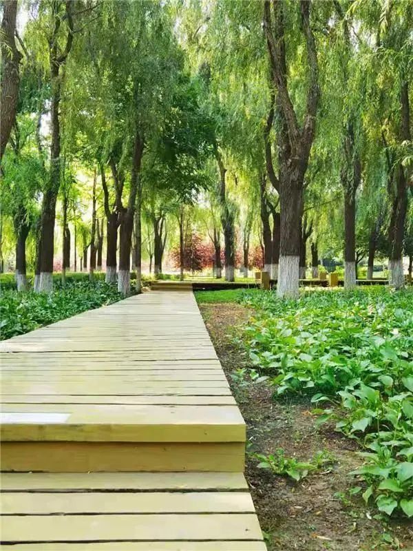 打开这份“小美好”指南，30个免费打卡地大盘点→