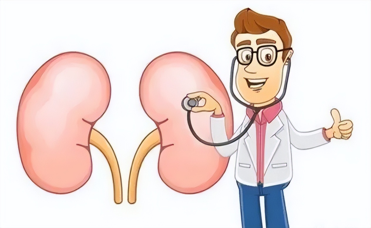 肾虚会引起哪些症状吃什么好,脾虚肾虚的症状表现有哪些