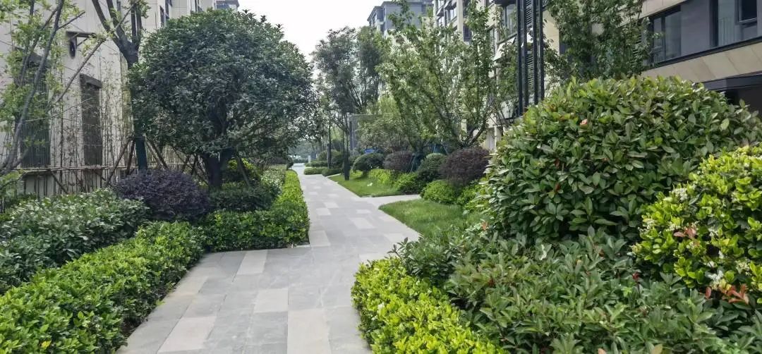 实探湖景新板块,实探新楼盘提前剧透