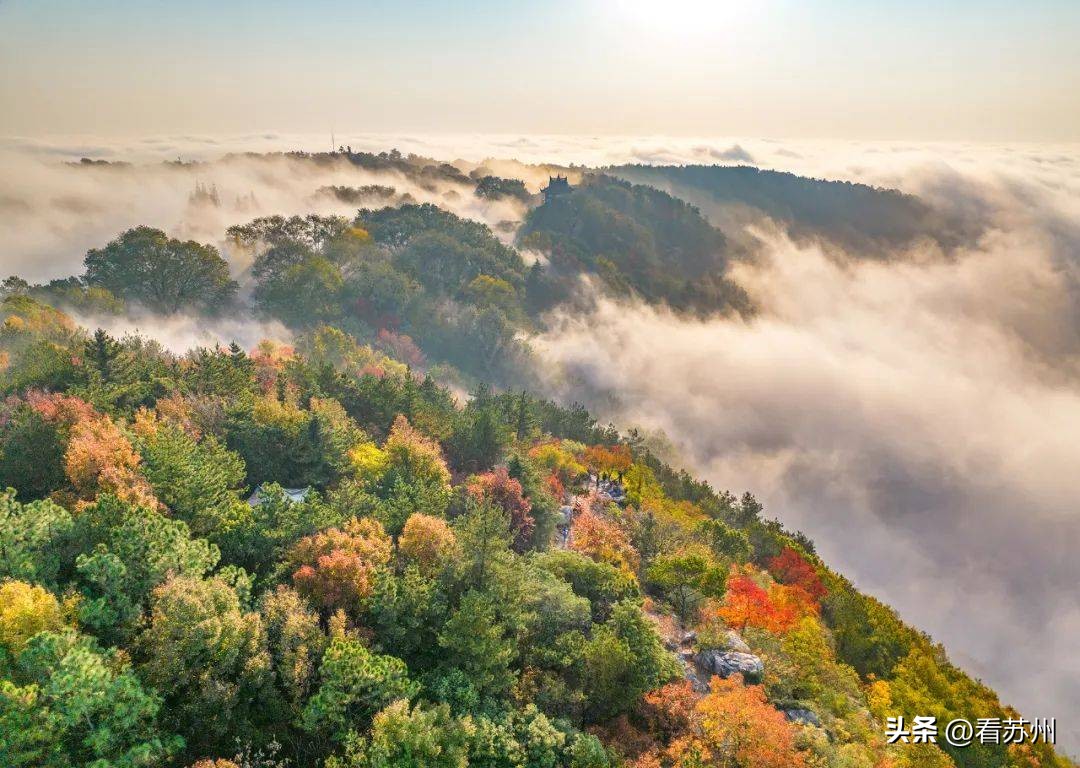 苏州有哪些著名的美食,苏州最出名的地方特色美食是什么