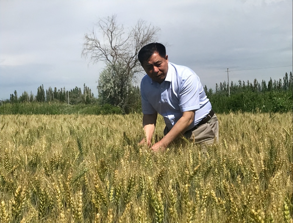 智慧农业助力丰产增收,智慧农业助力农民增收