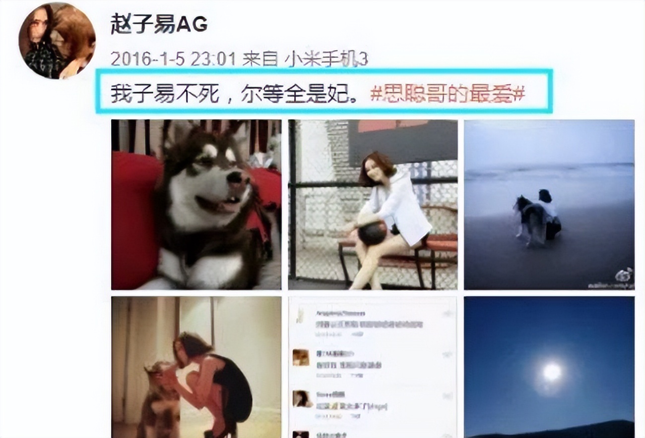 王思聪历任女友哪个厉害,盘点王思聪历届前女友