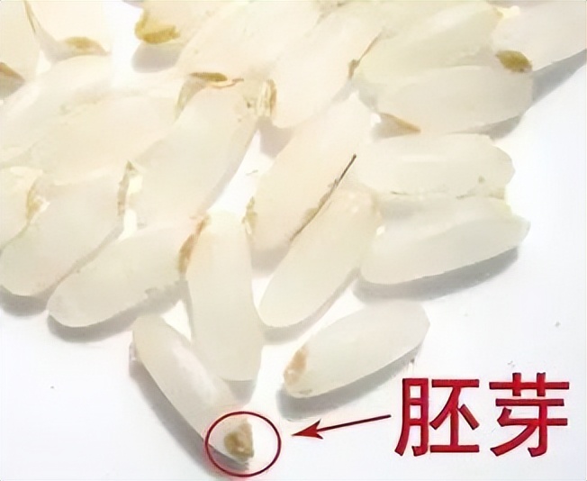 糙米有十种颜色吗,糙米的各种美食