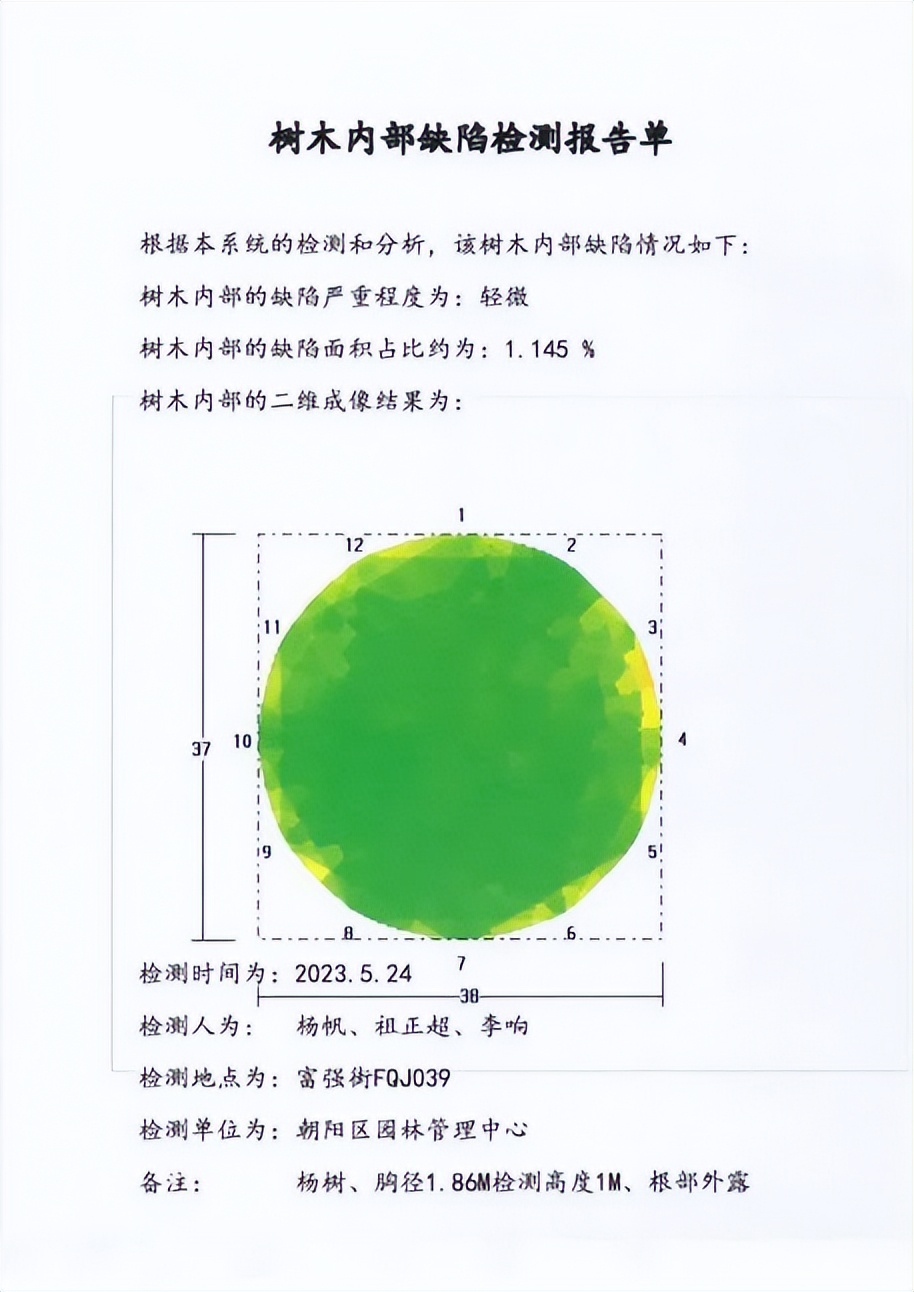 树木诊断中要注意哪些问题,树木健康监测与日常养护