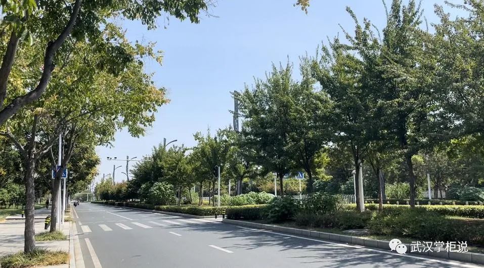 实探准现房,实探现房改善楼盘