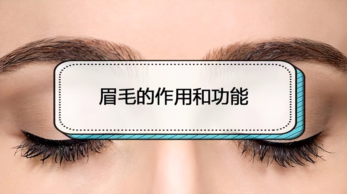 50岁后男人眉毛变长意味着什么,眉毛变长是长寿还是有病