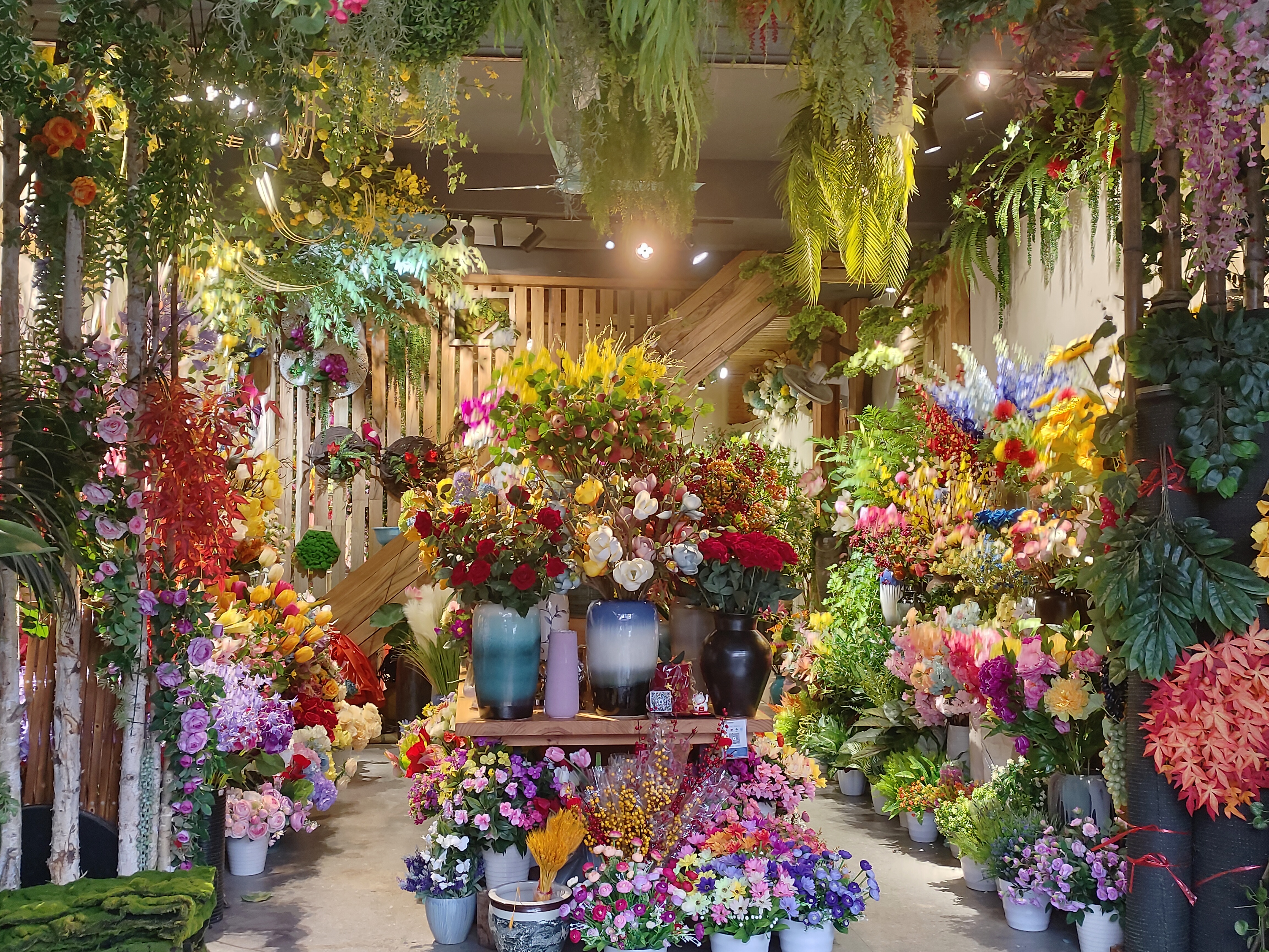 广西花鸟市场和南宁花鸟市场,广西平果花鸟市场在哪里