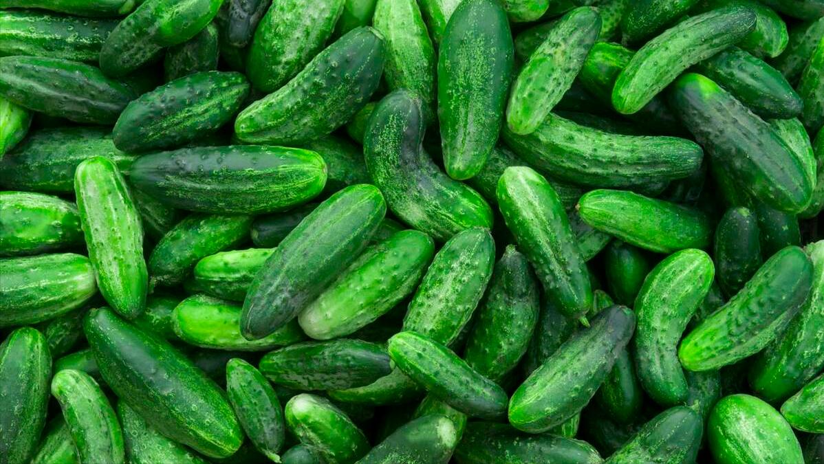 初夏五月吃这些蔬菜就够啦,五月吃什么菜推荐几种应季蔬菜